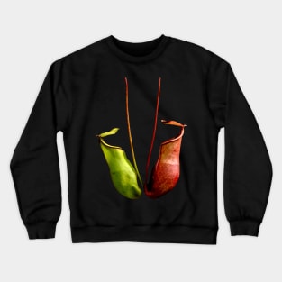 Nepenthes tropical pitcher plant botanical drawing carnivorous plant Crewneck Sweatshirt